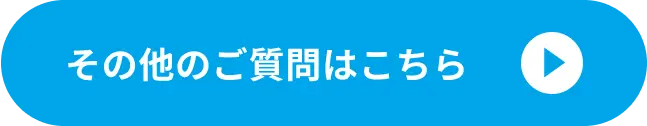 その他の質問へのボタン